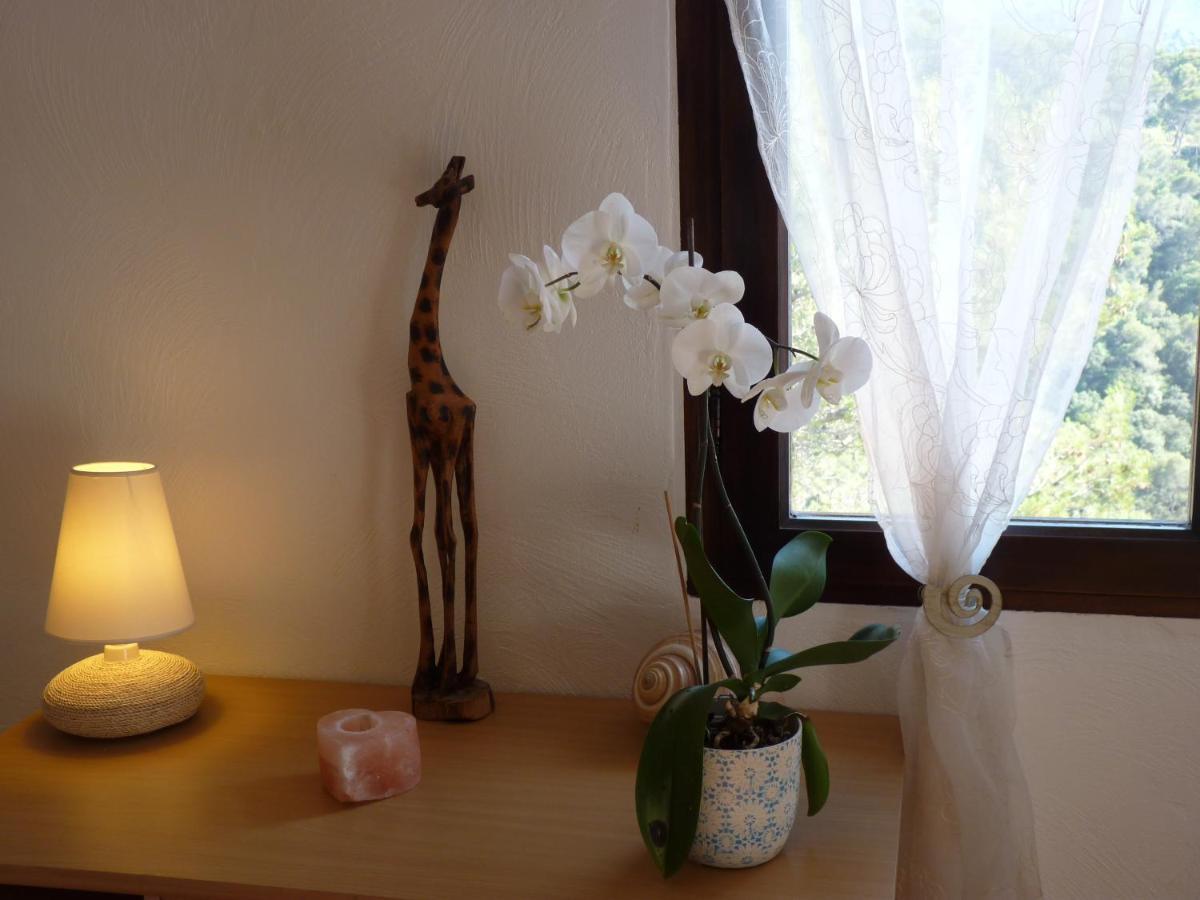 Drap Le Balcon D'Azur 아파트 외부 사진